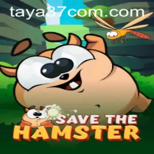 Discovering SavetheHamster: The Game Everyone is Talking About